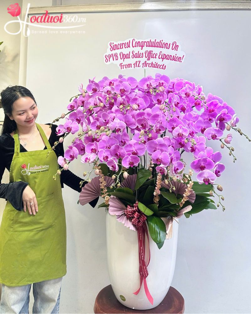 Tặng hoa lan hồ điệp để xin lỗi