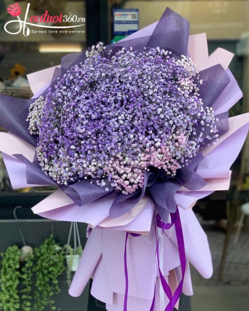 Hoa baby xin lỗi chân thành