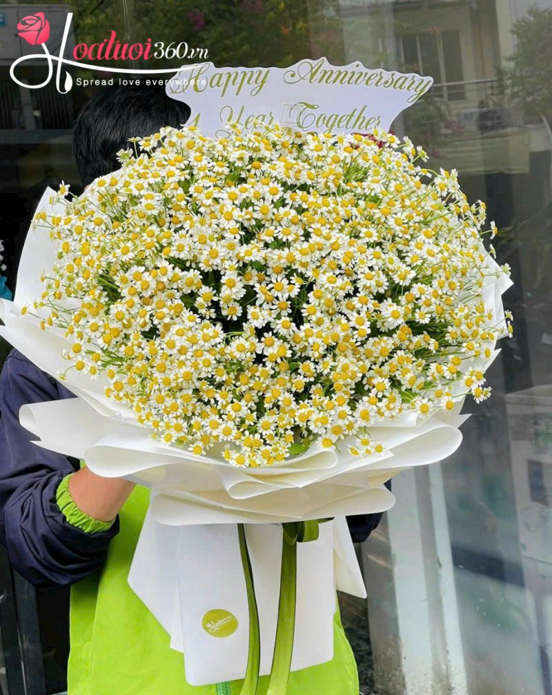 hoa bó tròn cúc tana