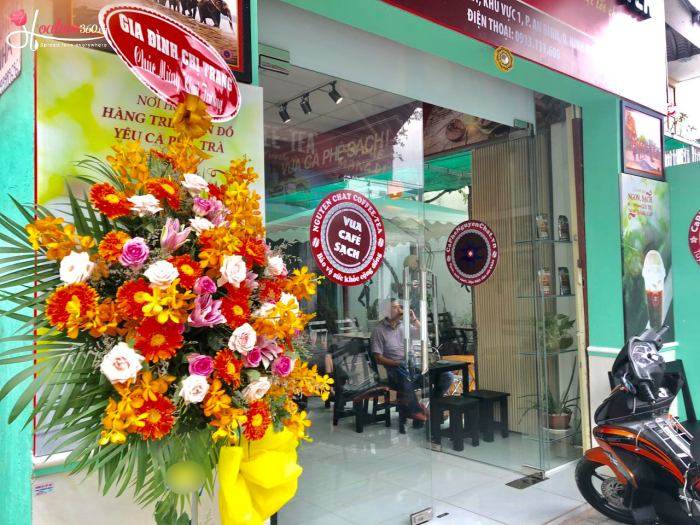 Kệ hoa đồng tiền mừng khai trương tiệm cafe