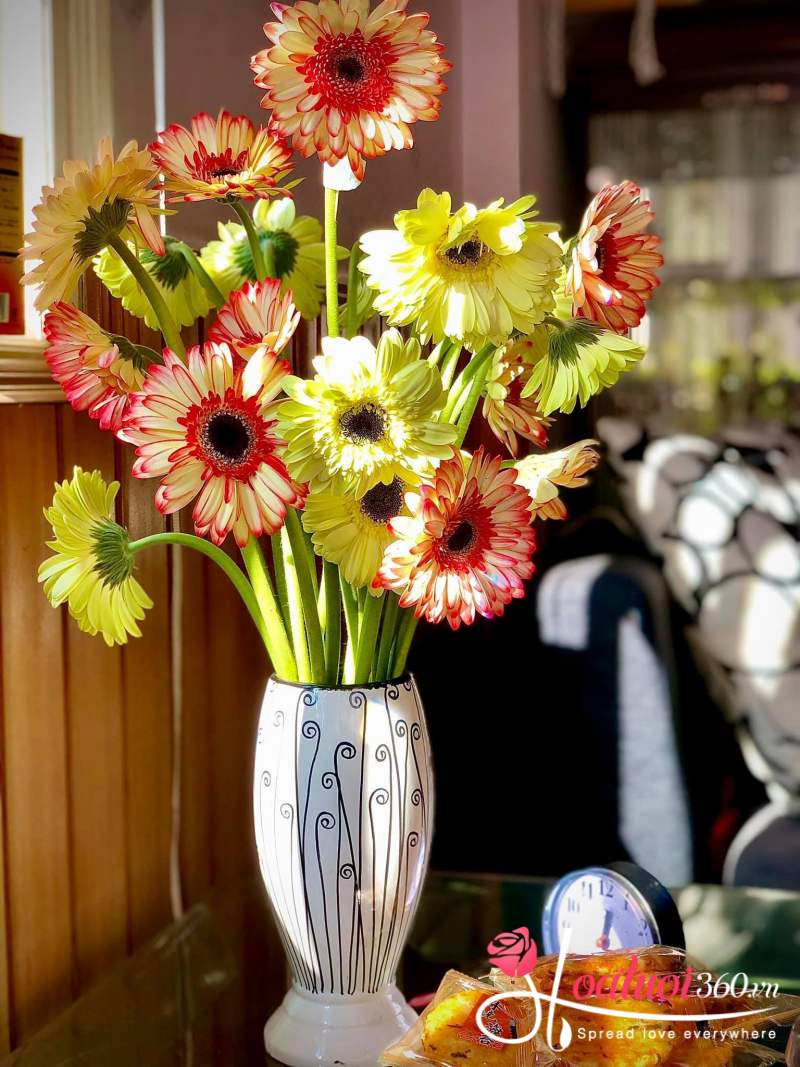 Bình hoa đồng tiền ngày tết