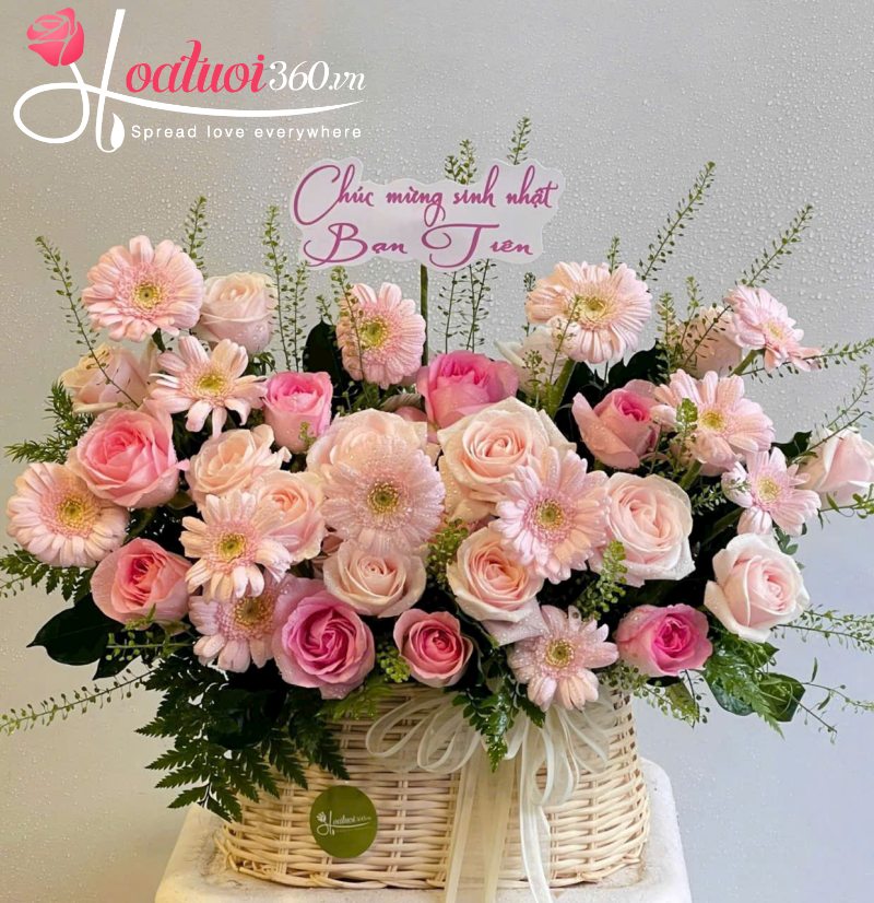 Ý nghĩa của hoa đồng tiền tặng 20/10