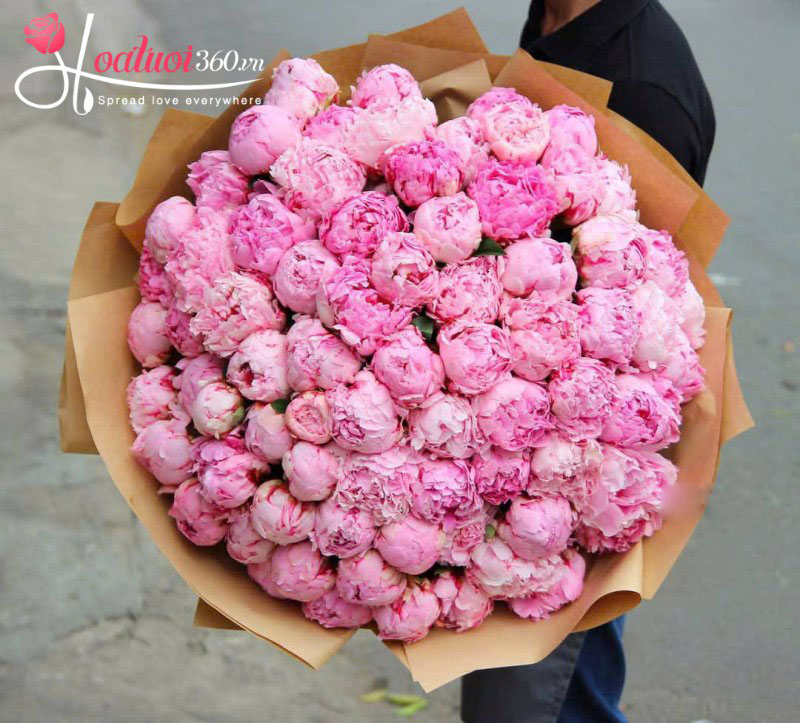 Hoa mẫu đơn - Đại diện cho hạnh phúc viên mãn