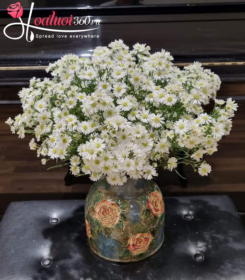 bình hoa thạch thảo trắng
