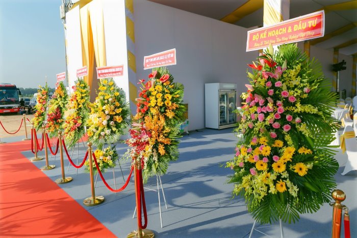 Kệ hoa ly hồng mix đồng tiền, cẩm chướng