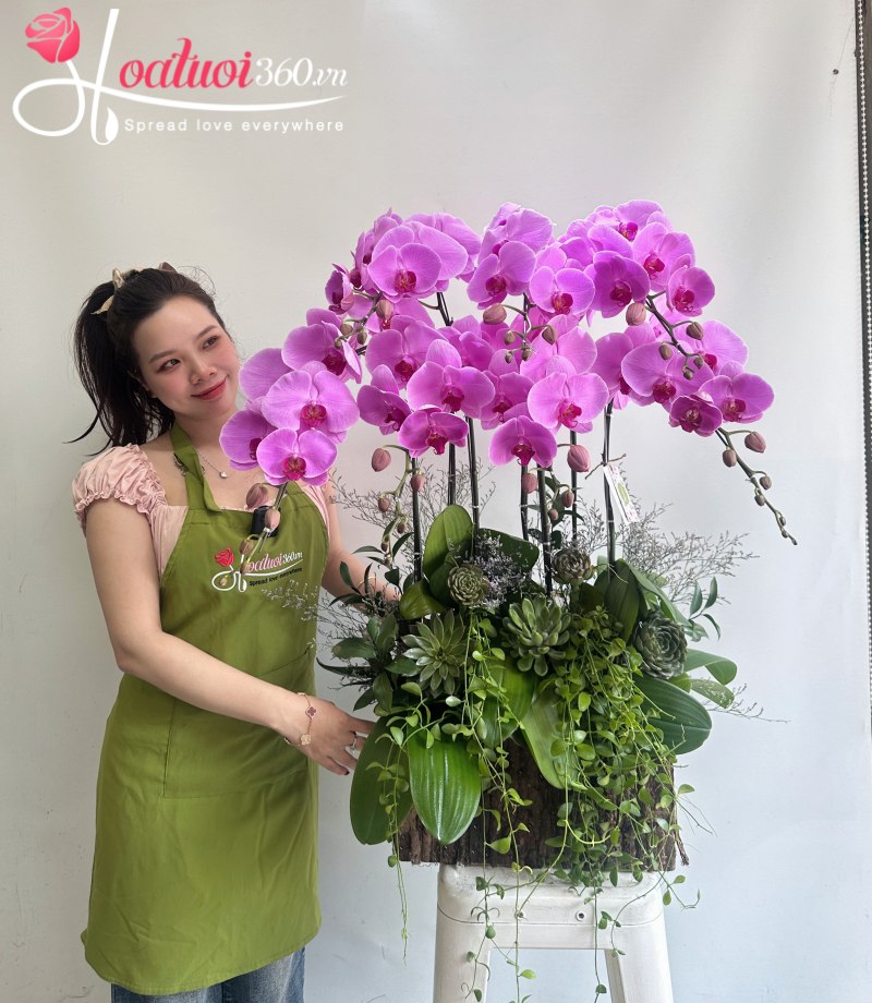 Ý nghĩa của lan hồ điệp tặng 20/10