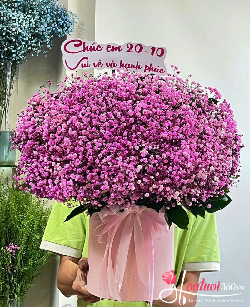 Lẵng hoa baby tím tình yêu