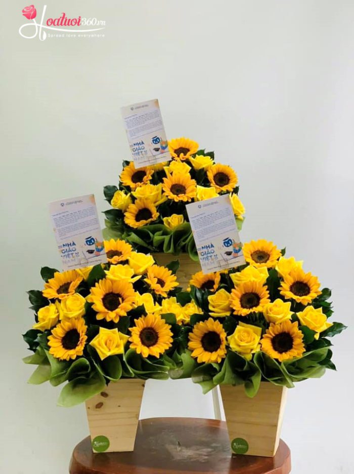 Combo 3 lẵng hoa hướng dương để bàn mừng ngày nhà giáo Việt Nam