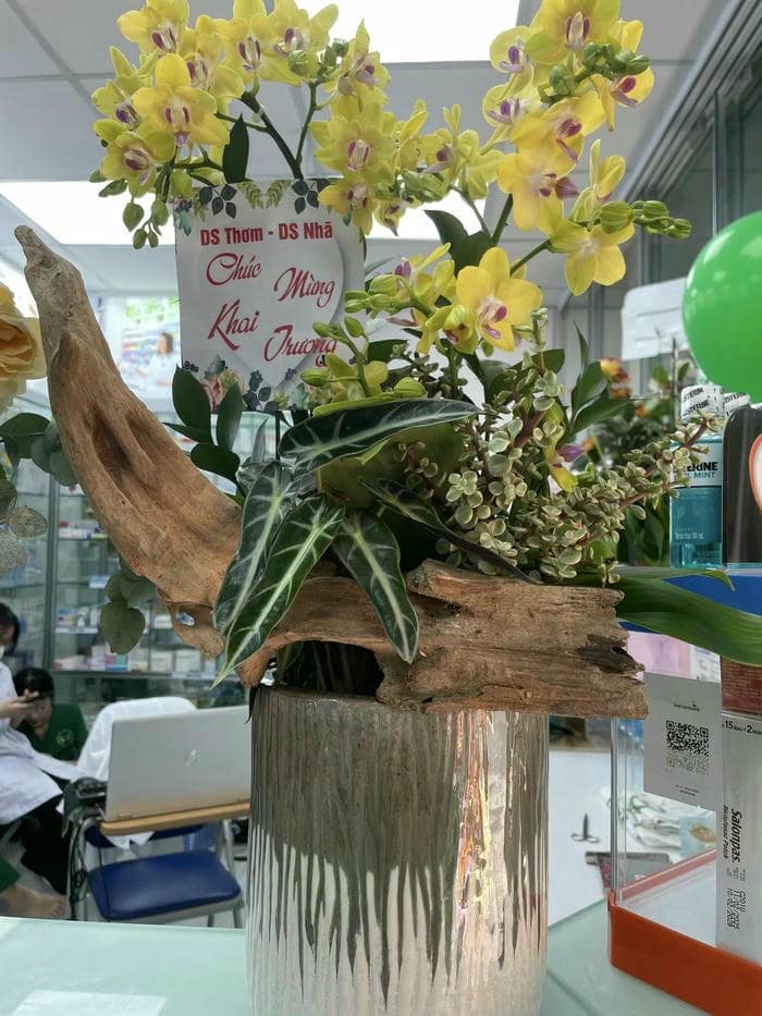 Lẵng hoa lan hồ điệp vàng mừng khai trương