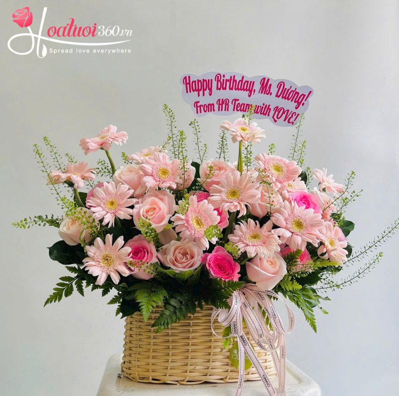 hoa đồng tiền - loài hoa may mắn