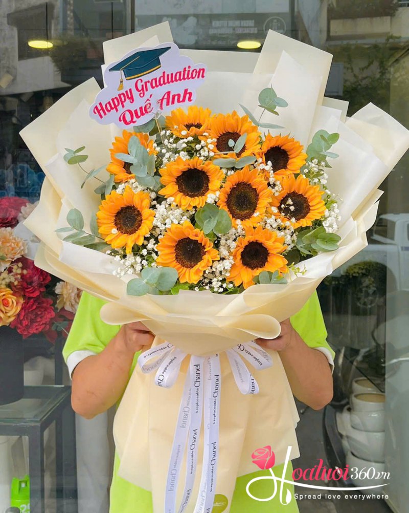 hoa hướng dương - loài hoa may mắn