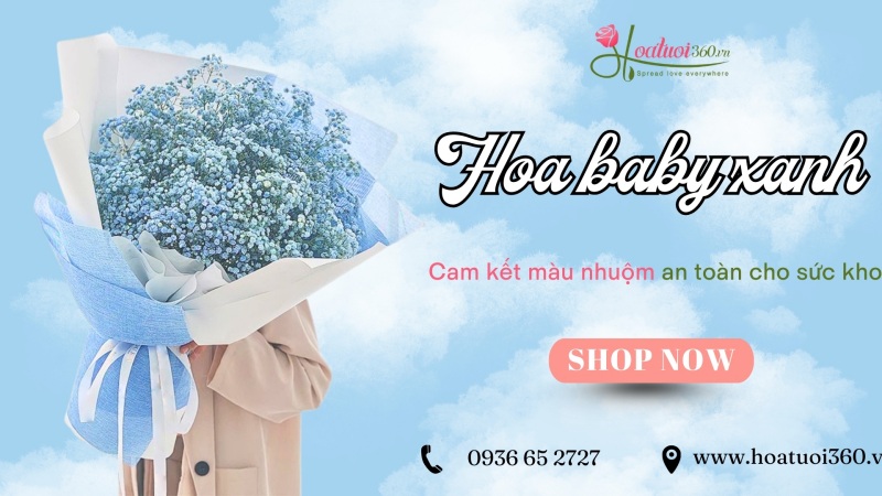 Mua hoa baby xanh đẹp, giá tốt ở đâu tại TPHCM