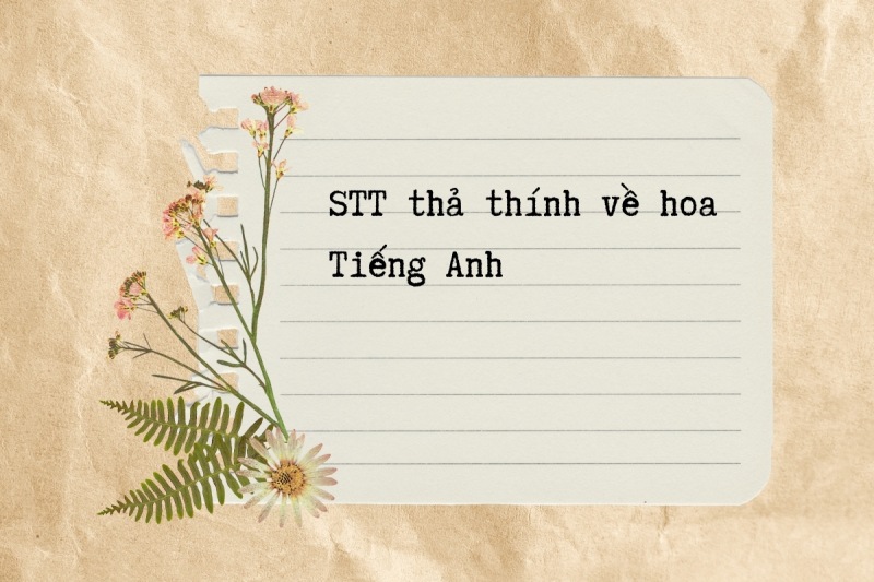 Mẫu stt thả thính về hoa bằng tiếng Anh