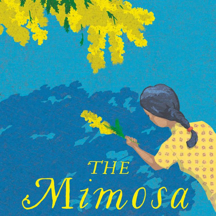 sự tích hoa mimosa