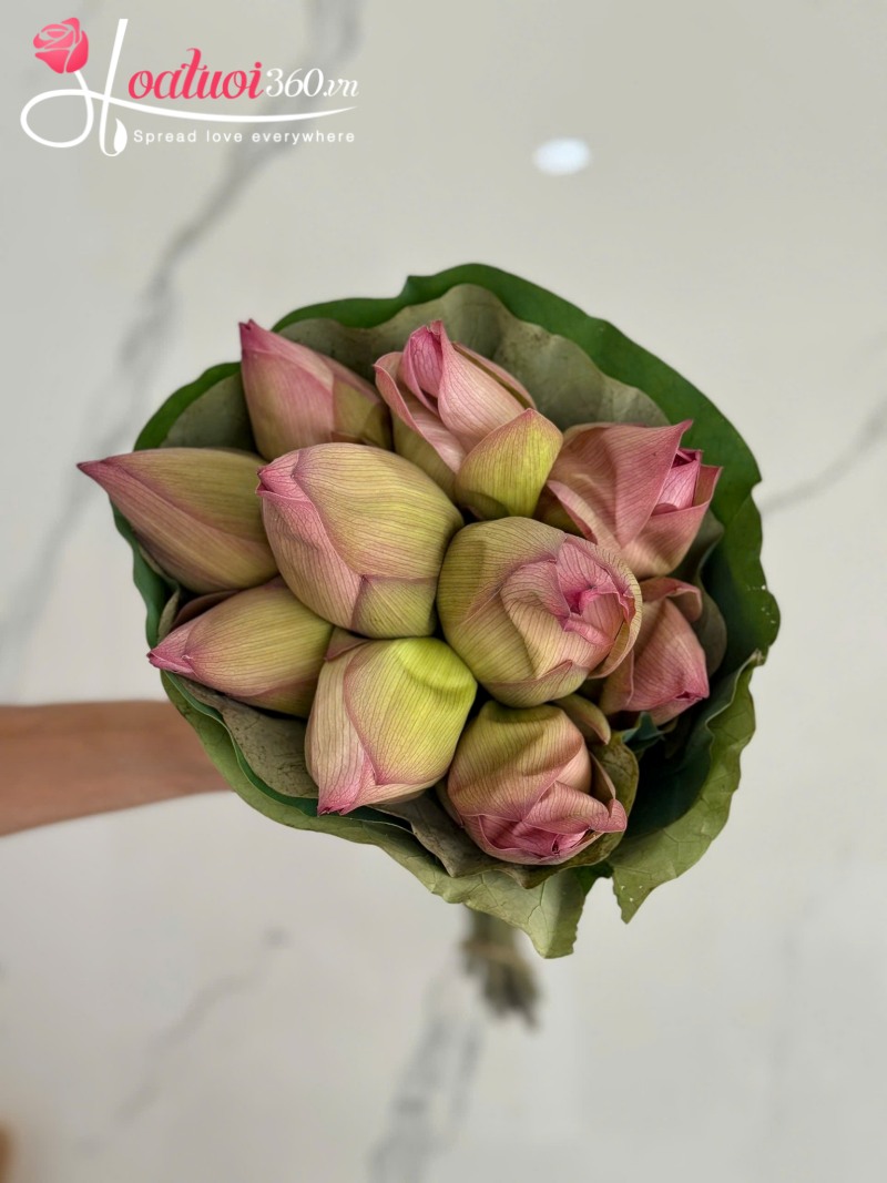 Tiêu chí chọn hoa sen dâng Phật