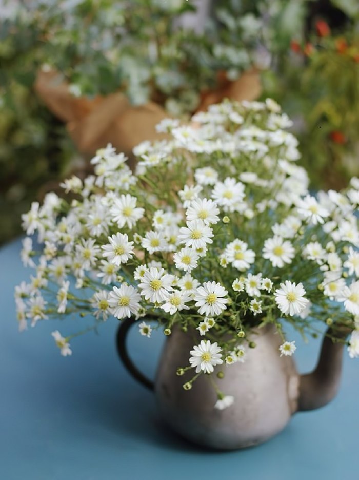 Trang trí không gian sinh hoạt bằng bình hoa cúc cánh mối cách điệu