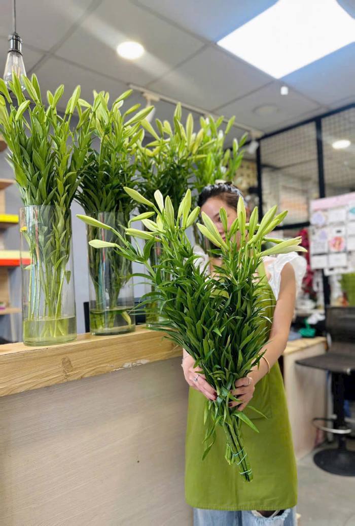 ưu đãi khi đến mua hoa tại cửa hàng hoa loa kèn giá rẻ TPHCM