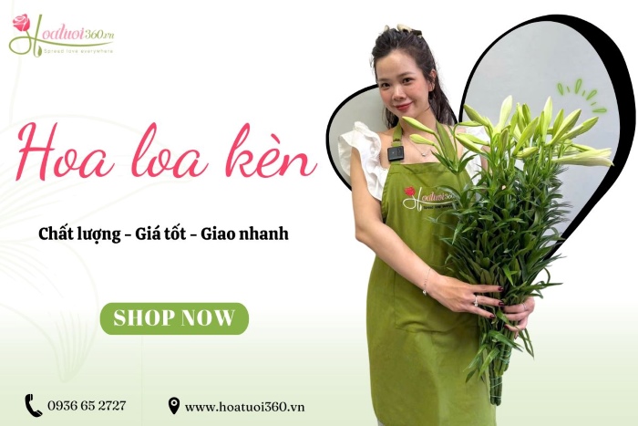 Shop hoa loa kèn giá rẻ tại TPHCM - Hoa Tươi 360