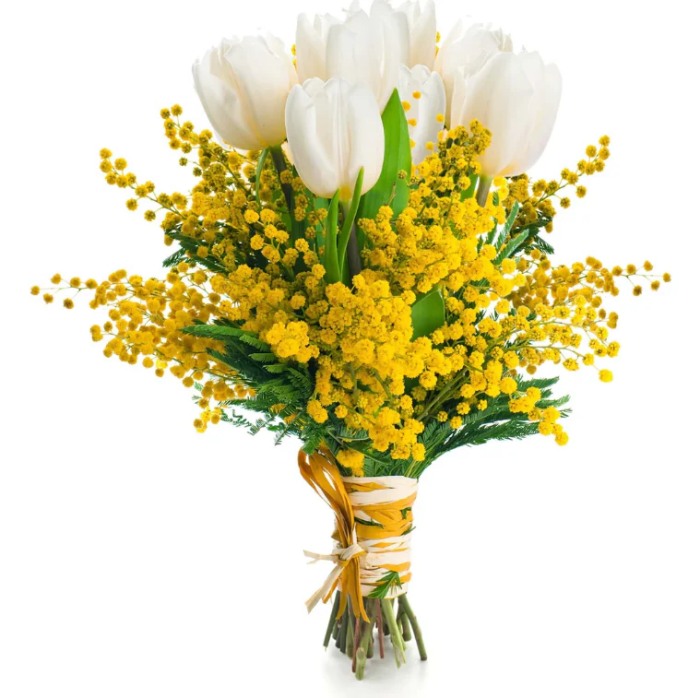 ý nghĩa của hoa mimosa vàng
