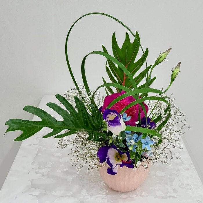 Chậu hoa ngôi sao xanh cắm theo phong cách Nhật Bản