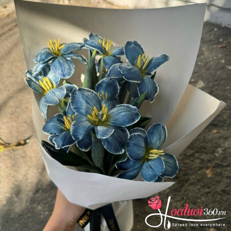 Ý nghĩa hoa tulip xanh