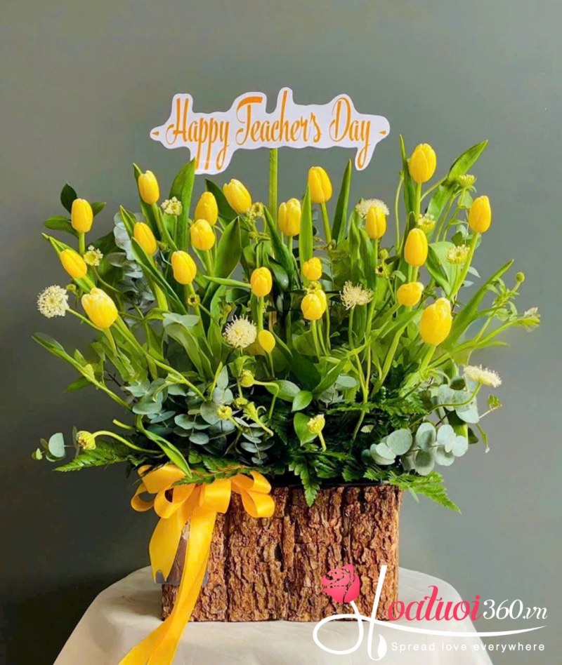 ý nghĩa hoa tulip vàng