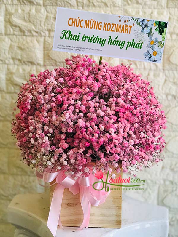 Hoa hộp baby hồng - Yêu nhau bềnh bồng