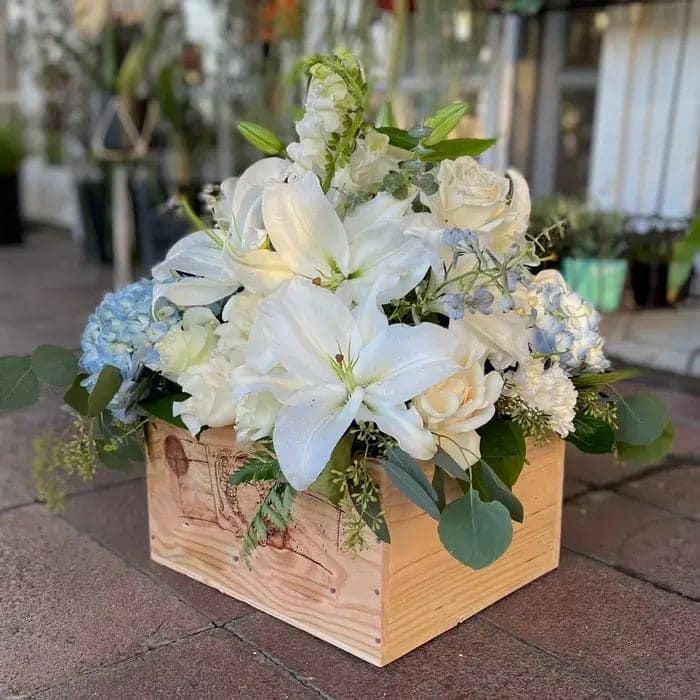 Hộp hoa loa kèn nhỏ gọn để bàn tạo điểm nhấn ấn tượng