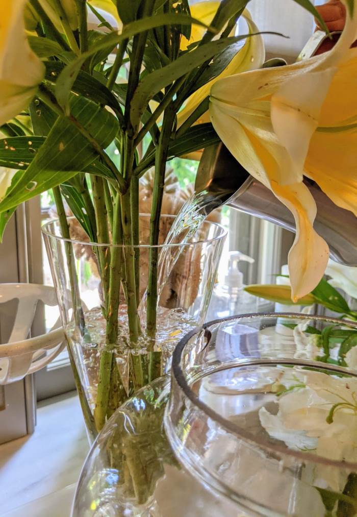 Thay nước mới cho bình hoa loa kèn, đảm bảo nguồn nước sạch