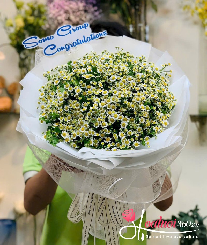 Bó hoa tặng lễ tốt nghiệp cúc tana dễ thương