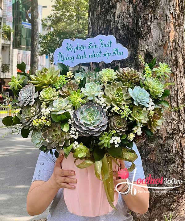 Hộp hoa sen đá - Lộc sắc tươi xanh