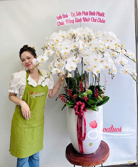 Chậu lan hồ điệp trắng - Mở đường phát tài