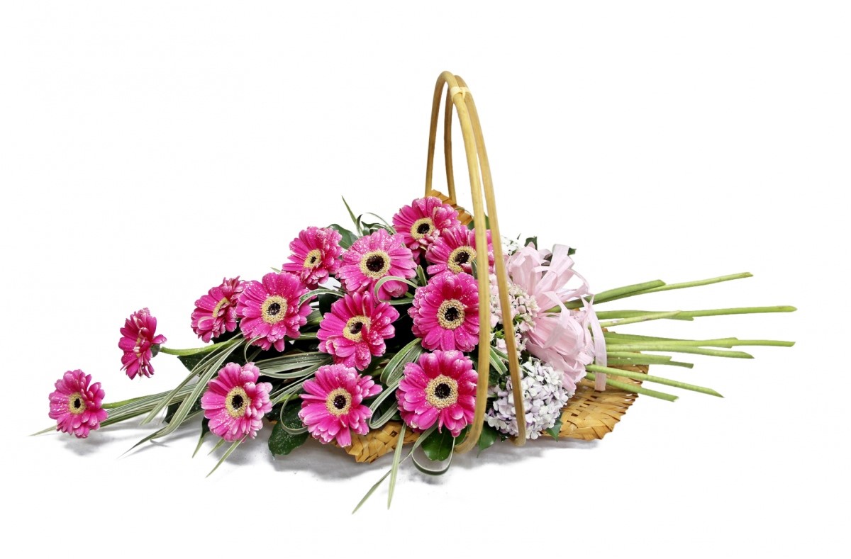 hoa tươi hoa tươi