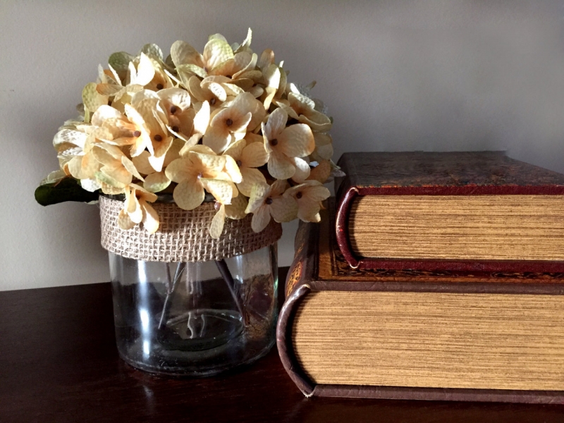 Hoa cẩm tú cầu mang ý nghĩa buồn