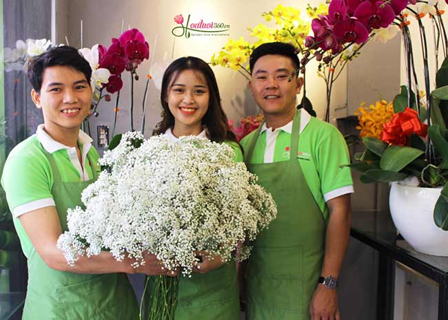 shop bán hoa baby đẹp và chất lượng