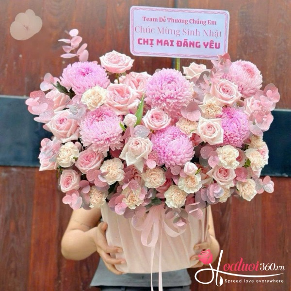 Hoa sinh nhật - Nàng thơ dịu dàng