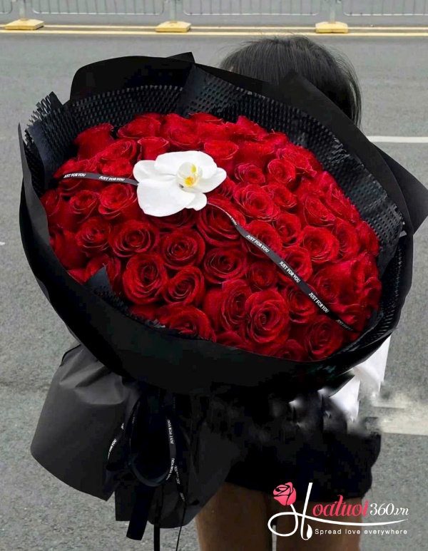 Hoa sinh nhật - Siêu bão tình yêu