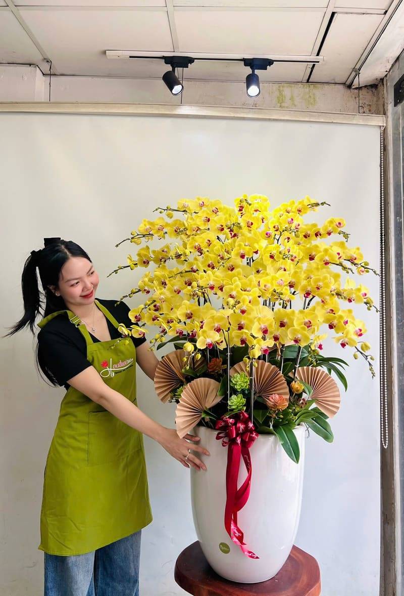 Chậu lan hồ điệp khai trương màu vàng tượng trưng cho tài lộc