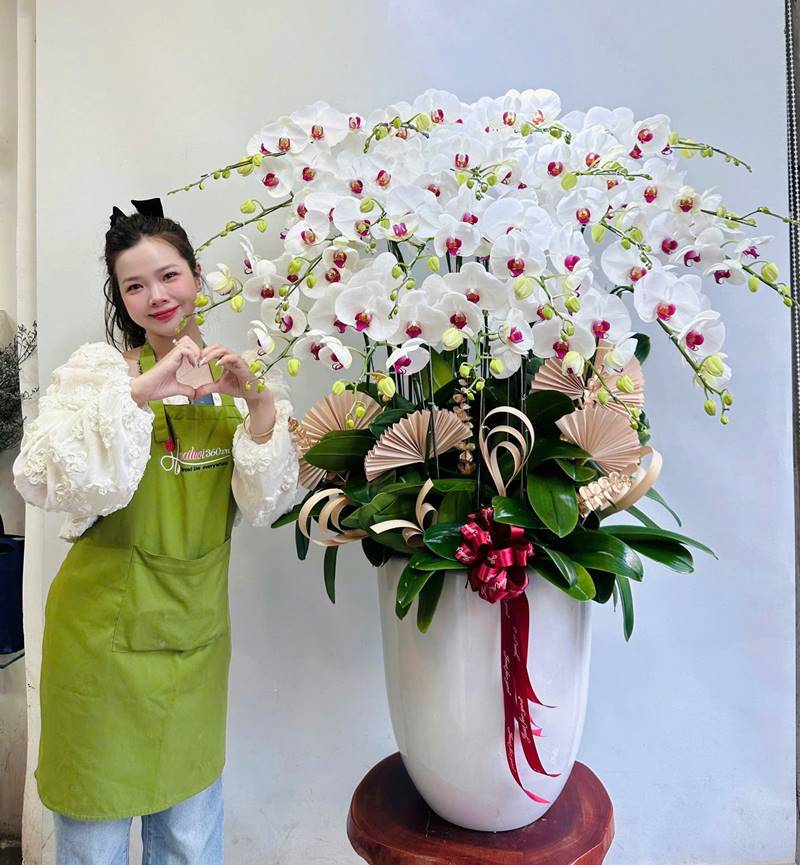 Lan hồ điệp trắng khai trương cao cấp, trang nhã