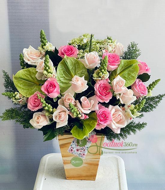 hoa khai trương hoa mõm sói hồng thanh lịch, sang trọng