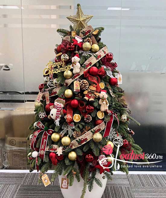 Cây thông Noel SIZE TO đậm chất Giáng Sinh