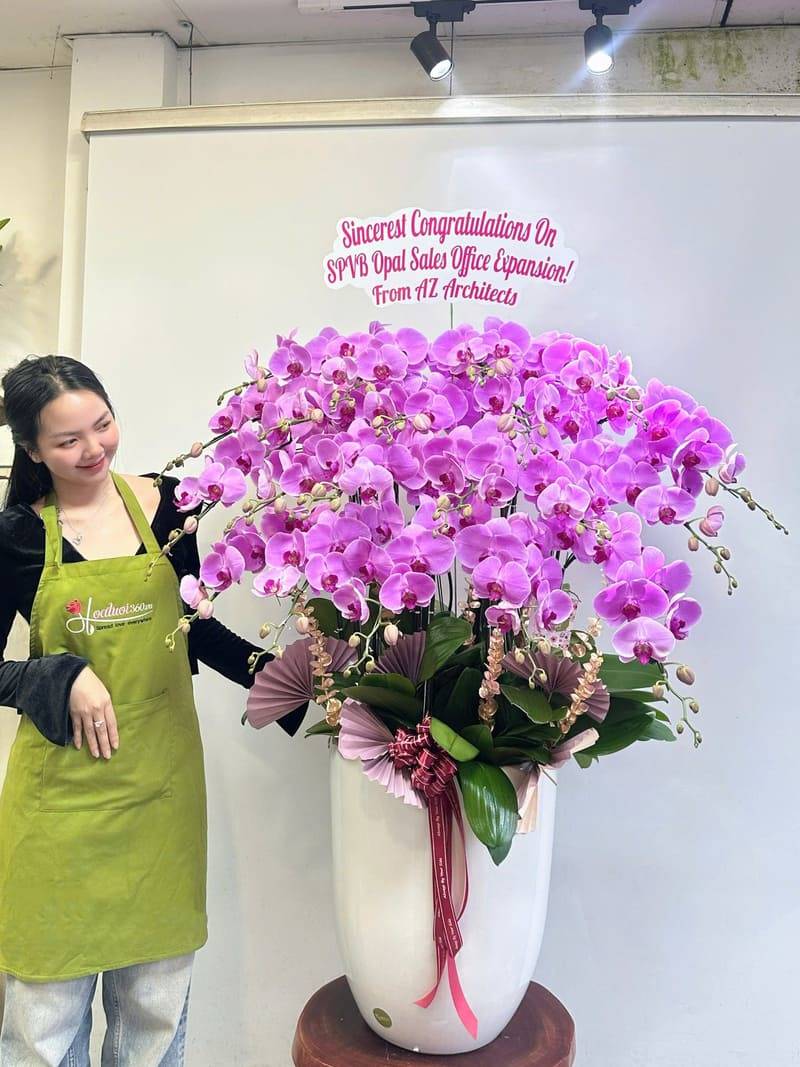 Chậu hoa sinh nhật lan hồ điệp tím, sang trọng cho sếp