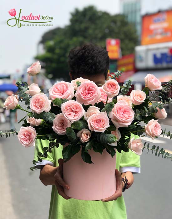 Hoa hồng Ecuador cao cấp nhập khẩu